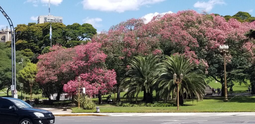 The Plaza San Martin is the grand plaza in the center of Buenos Aires, Argentina