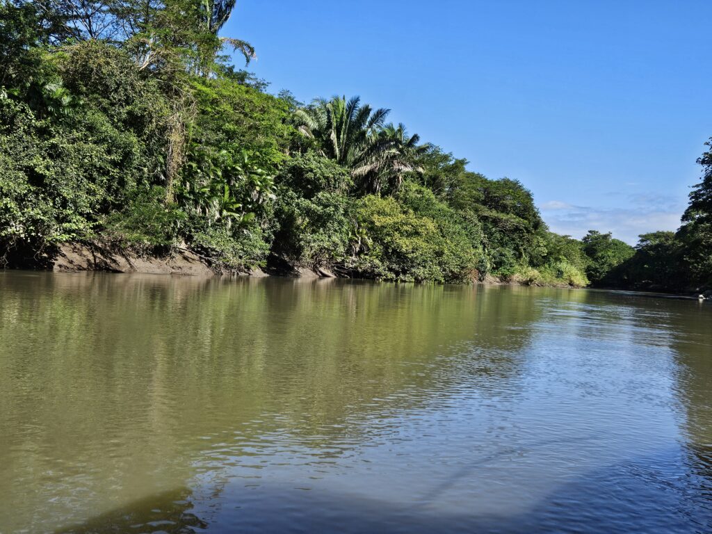 Into the jungle with our Jungle River Cruise. Costa Rica on its Pacific Coast at its best.